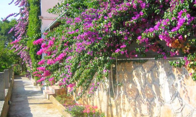 Island Hvar Apartment | 45 m² Apartment ∙ 2 bedrooms ∙ 6 guests