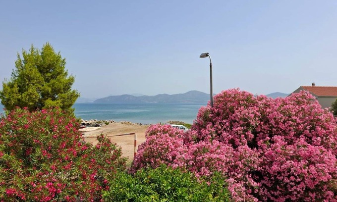 Drace Apartment | 47 m² Apartment ∙ 2 bedrooms ∙ 4 guests