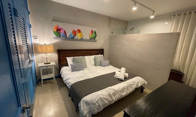 Santurce Apartment | 4BR Spaciuos Apartment aWalk to the Beach Restaurants and Nightlife!