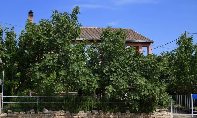 Gornji Karin Apartment | 50 m² Apartment ∙ 1 bedroom ∙ 4 guests