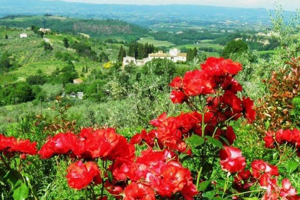 Magliano Apartment | 60 m² Apartment ∙ 1 bedroom ∙ 3 guests