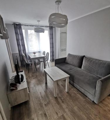 Czestochowa Apartment | 7 Apartament Częstochowa