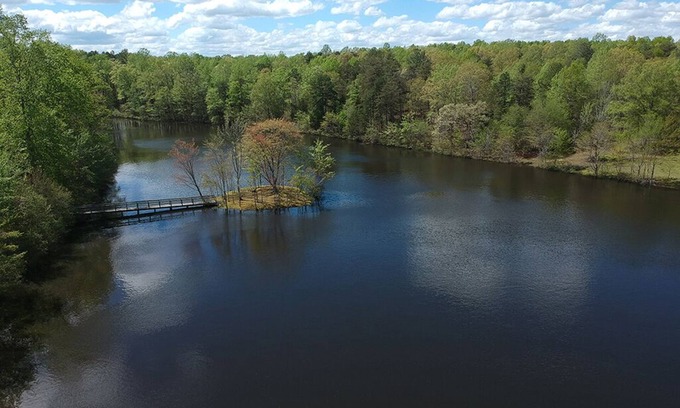 Louisa House | 8 Acre Private Lake w/Island, & 4 Unique Rentals!
