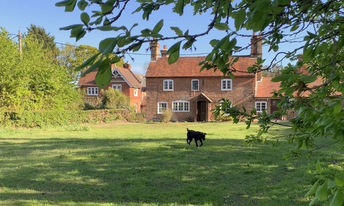 New Forest District Cottage | A fun, quirky house. 1.5km walk to the beach