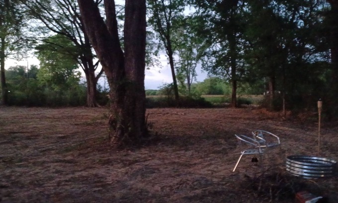 Tyler House | A great spot to relax under nice shade trees and plenty of room for activities.
