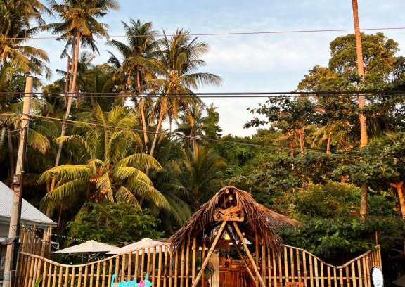 San Juan Bed & Breakfast | AA Jungle Guesthouse