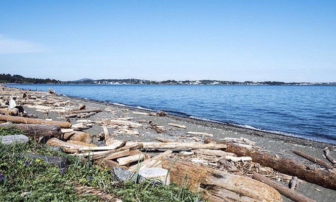 Colwood Apartment | Above The Sea BnB. New, Sunny, Private One Bedroom Suite.