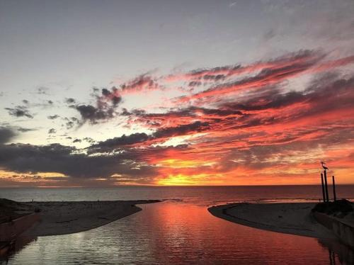 Henley Beach Apartment | Absolute Beachfront, Adjacent Henley Square, Relax
