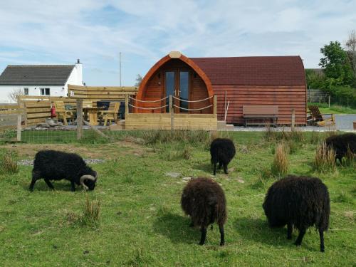Spittal House | Achmeney Glamping larger than Average pod