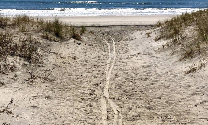 Brigantine Cottage | Adorable 2 bdrm cottage pet friendly with front porch & one block from beach.