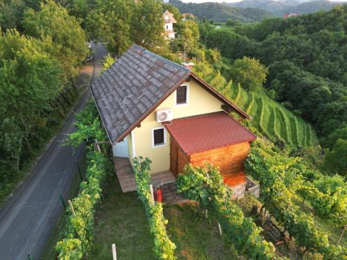 Videm Apartment | Adorable guesthouse in the middle of vineyards