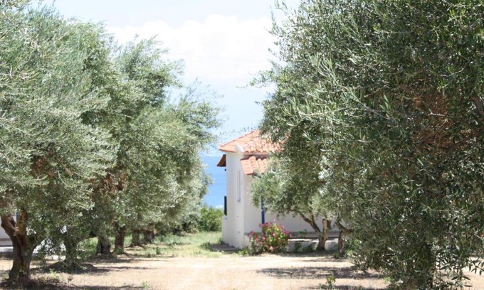 Kompi House | AGGELIKI 5