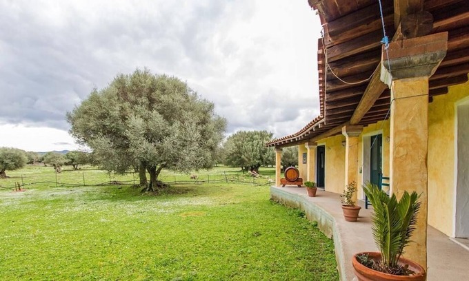 Dorgali House | Agriturismo Biriddo
