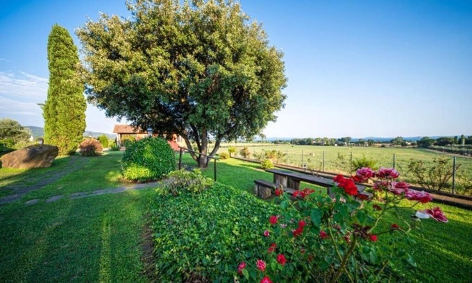 Bolsena Other | Agriturismo L'Elce: Apartment - Ground Floor