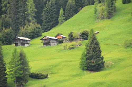 San Pietro di Cadore Apartment | Albergo Diffuso Costauta