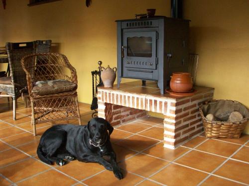 Fromista Hostel | Albergue Estrella Del Camino