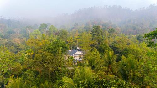 Pirmed House | Alencherry plantation homestay