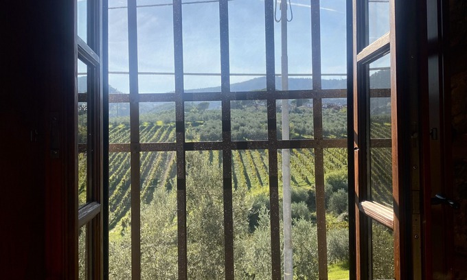 Santa Cristina a Mezzana Bed & Breakfast | Alessio room overlooking the vineyards of Tuscany