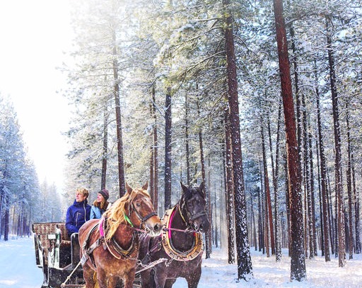Alberton Cabin | ALL INCLUSIVE THANKSGIVING HOLIDAY - RiverView Ranch Yellowstone Suite
