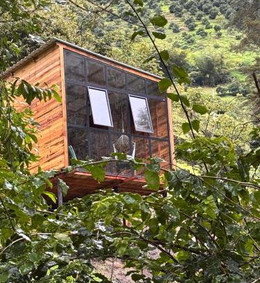 Anzoategui House | AlmA Rural - Cabaña Colibri