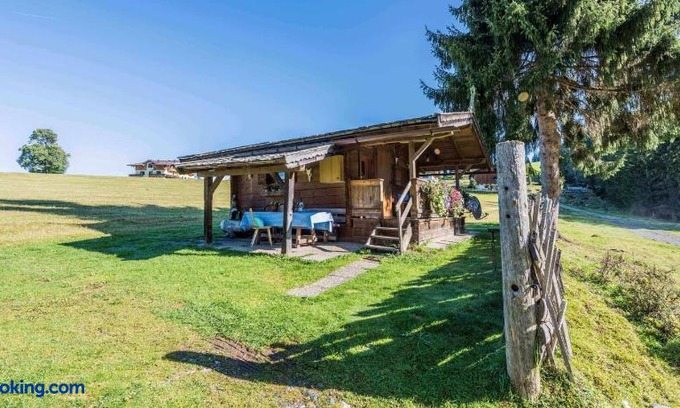 Hollersbach im Pinzgau Ski Chalet | Almliesl Holl-361