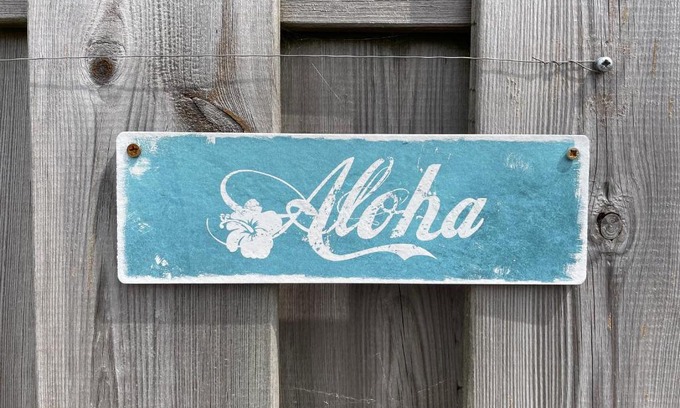 Serooskerke Apartment | Aloha-Olmenduin