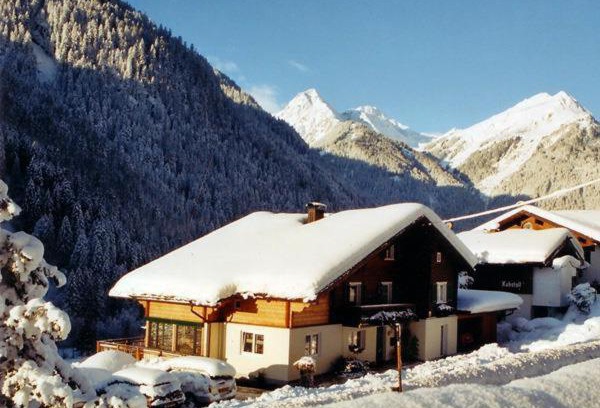 Sankt Gallenkirch Apartment | Alpenhaus Netzer