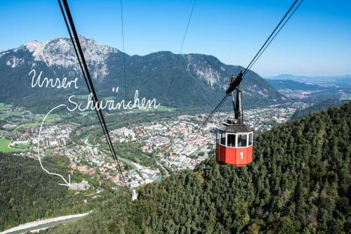Bad Reichenhall Apartment | Alpenschwänchen 2 - Salzschwänchen