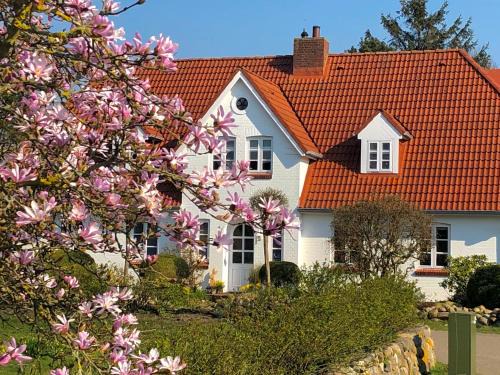 Wyk auf Foehr Apartment | Am Weizenfeld 13