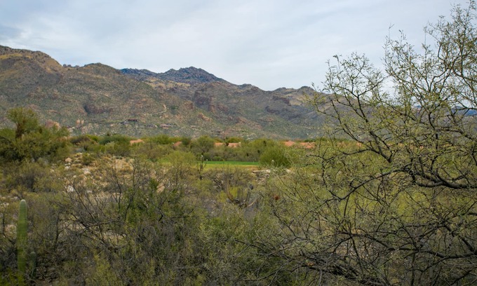Tucson Condo | Amazing interior upgrades highlighted by the picture perfect mountain views