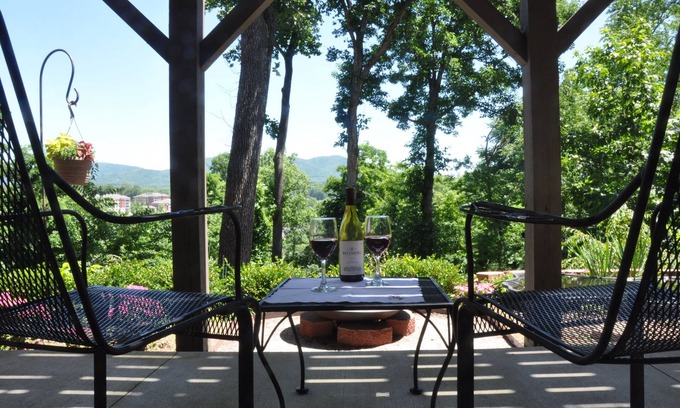 Kenilworth House | Amazing View, Walk to Biltmore Village from 1 BR Apartment