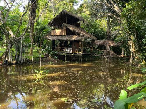 Puerto Narino Other | Amazon jungle cabin - satorinatural