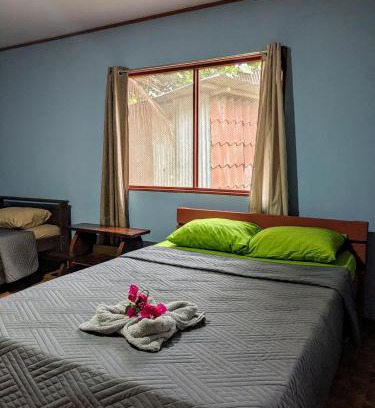 Los Planes House | Ana Paraíso entre Arboles