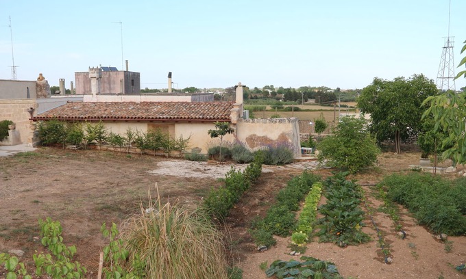 Specchia House | Ancient farmhouse of 1838