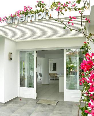 Skiathos Town Hotel | Anemoni Beach Hotel