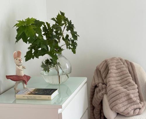 Fjaras House | Annas gård, stall & pensionat