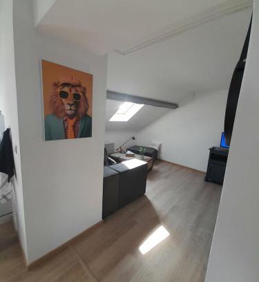 Marly Apartment | Apaartement près du Stade du Hainaut