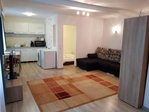 Tirgu Mures Apartment | Apartament 4 Central
