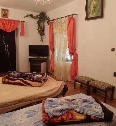 Doua Mai Apartment | Apartament Andrada
