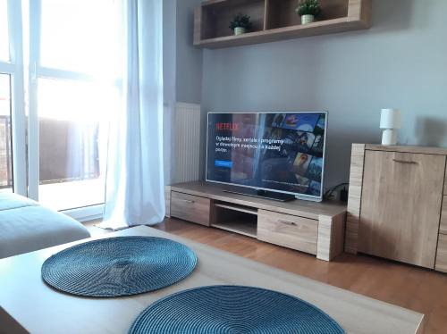Pruszcz Gdanski Apartment | Apartament Borkowo