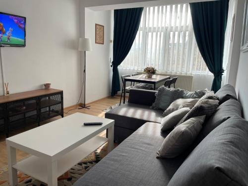 Husi Apartment | Apartament Cina