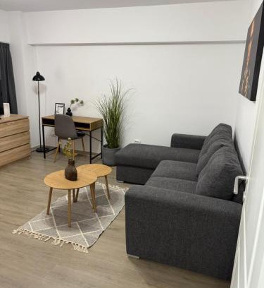 Roman Apartment | Apartament cu o cameră