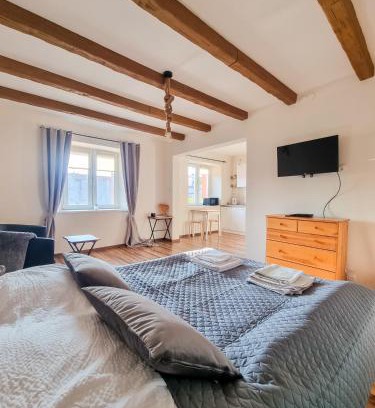Czestochowa Apartment | Apartament Jurajski parking 8 minut od alei
