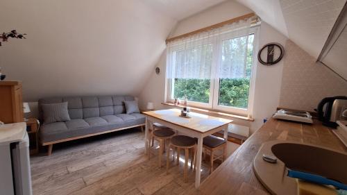 Orlowo Apartment | Apartament pod limbą