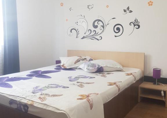 Piatra Neamt Apartment | Apartament Sely