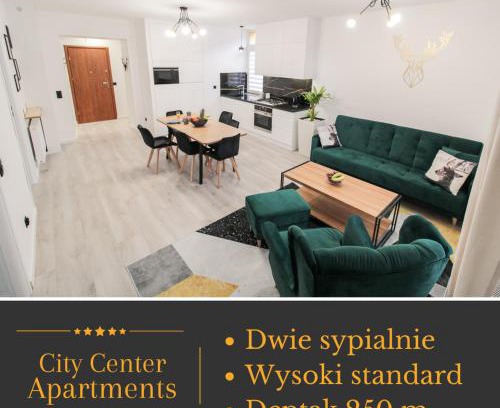 Krynica-Zdroj Apartment | Apartament Złoty Jeleń