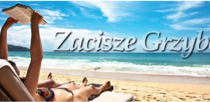 Grzybowo Apartment | APARTAMENT ZACISZE