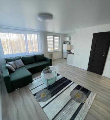 Lithuania Apartment | Apartamentai
