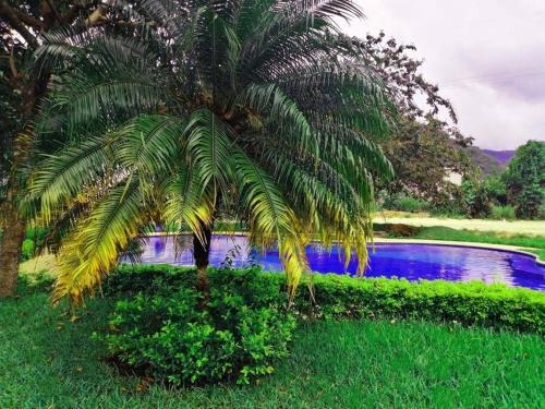Villa Canales Apartment | Apartamento e109