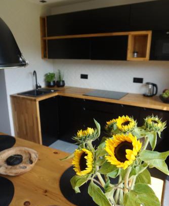 Ustron Apartment | APARTAMENTY JEDYNE TAKIE.